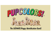 PUP Colors, rcnsw, Rottweiler Club of NSW